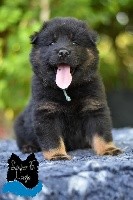 Mr Bleu